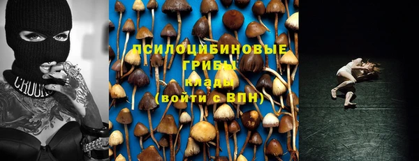 ALPHA-PVP Новозыбков