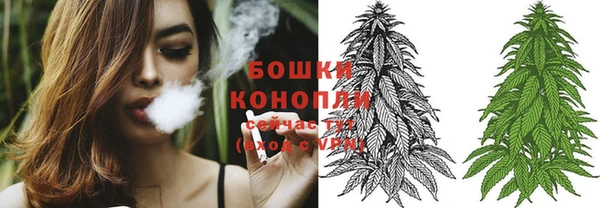 альфа пвп Новодвинск