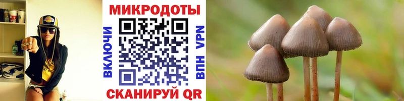 Галлюциногенные грибы Psilocybine cubensis  гидра ТОР  мориарти Telegram  как найти закладки  Салаир 